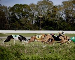 Mobile Greyhound Park, Alabama